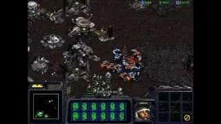 StarCraft: Brood War - How to Tame a Wild Torrasque?