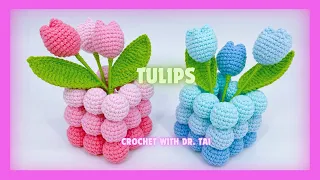 【EP257】 🌷🌷 Crochet Tulips Decoration
