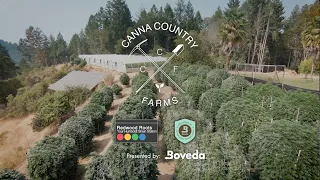 From Legacy to Licensed, Cultivating Generations of Growers in Humboldt: Canna Country Farms | Ep.2