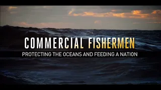 Commercial Fishermen: Protecting the Ocean and Feeding a Nation