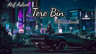 Tere Bin Lofi | Atif Aslam | Bas Ek Pal | (Slowed Reverb)