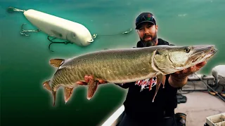 I’ve NEVER Seen A Bite Like THIS! (Spring Muskies)