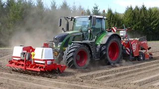 Fendt 724 + Miedema | Aardappels poten | Gebr. Hardeman Harskamp | Planting potatoes