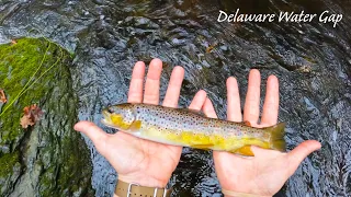 Fly Fishing the DELAWARE WATER GAP (National Recreational Area)