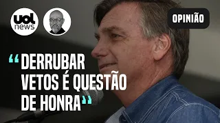 "Bolsonaro aplicou vetos injustificáveis à Lei de Segurança Nacional" | Josias de Souza