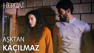 Miran ve Reyyan'ın kaçışı | Hercai Kolaj