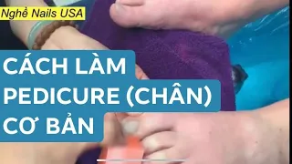 CÁCH LÀM NAIL CƠ BẢN: CÁC BƯỚC LÀM PEDICURE (CHÂN) CHO NGƯỜI MỚI BẮT ĐẦU