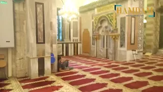 Full HD Video Inside of Masjid Al Aqsa