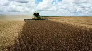 Produtores rurais de Mato Grosso iniciam colheita da safra de soja