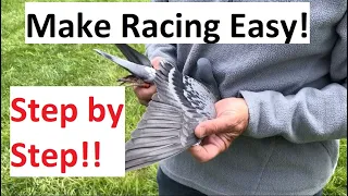 Make Pigeon Racing Easy!  Step By Step
