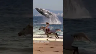 The best Camera Shoot, The humpback Whale Breaching Follow Horse Rider