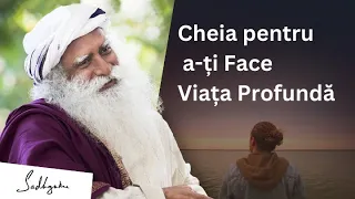 Cheia pentru a-ți Face Viața Profundă