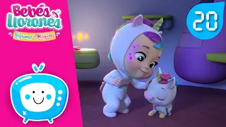 🦄 AMIGOS UNICORNIO 🦄 BEBÉS LLORONES 💦 LÁGRIMAS MÁGICAS 💕 Episodios Completos 😍 Vídeos para NIÑOS