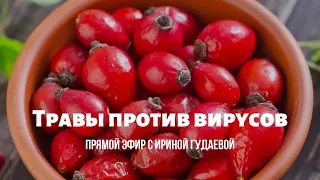 Прямой эфир с Ириной Гудаевой "Травы против вирусов"