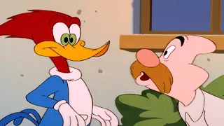 Woody helps Wally in love | Woody Woodpecker