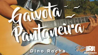 Gaivota Pantaneira (Dino Rocha) - PJ Sanfoneiro