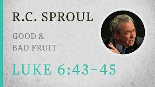 Good & Bad Fruit (Luke 6:43-45) — A Sermon by R.C. Sproul