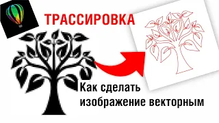 Трассировка. Как сделать изображение векторным? Какие картинки подойдут оптимально? Corel Draw