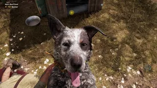 How to get Boomer the dog in Far Cry 5