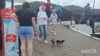 12.07.23 Новомихайловский приходит в себя после ночи/ последствия после потопа🚩