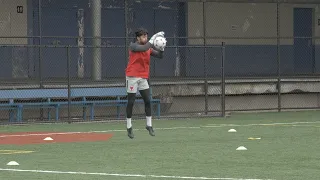 pro goalkeeper training