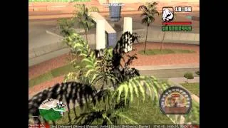 gta san andreas plane stunts by ole23 2