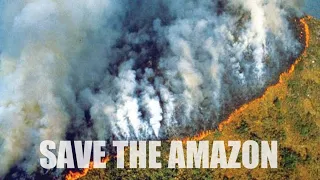 AMAZON FOREST FIRES | REASONS | WHY NO MEDIA COVERAGE ?