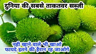 20 रुपए की इस सब्जी के फायदे इतने की हैरान रह जाओगे, रेसिपी ऐसे की नही खाने वाले भी खायेंगे। Kakoda