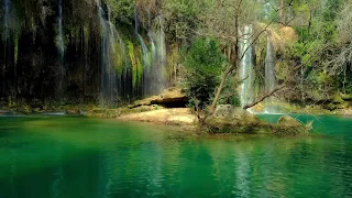 Waterfall in forest - calming waterfall with birds chirping for better sleep and relax #asmr