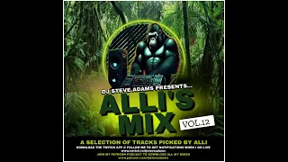 DJ Steve Adams Presents... Alli's Mix Vol. 12