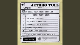 So Much Trouble (John Peel Top Gear Sessions)