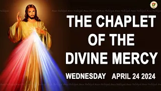 Chaplet of the Divine Mercy I Wednesday April 24 2024 I Divine Mercy Prayer I 12.00 PM