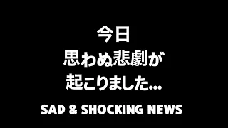 【閲覧注意】今朝方、悲しくてショッキングな大事件が起きました😔💔