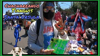 Chachareando el tianguis de av santa Úrsula