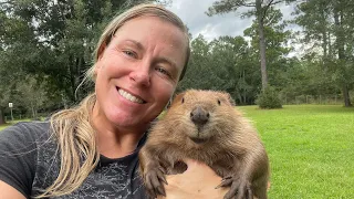 Meet the rescue beavers!