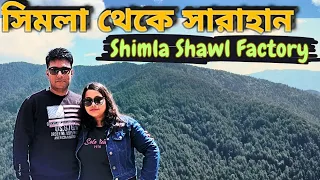 Shimla to Kufri to Sarahan জমিয়ে সস্তায় কেনাকাটি Shimla Shawl Factory #shimla #travel #kufri