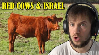 Red Cows & Israel | Marcel Reacts to THIS RED COW MARKS THE AGE OF DAJJAL