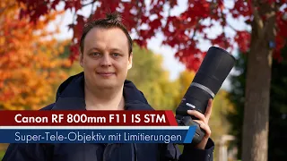 Canon RF 800 mm f/11 IS STM | Leichtgewicht mit Lichtschwäche [Deutsch]