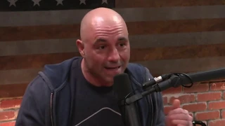 Joe Rogan and Jordan Peterson on Hierarchy