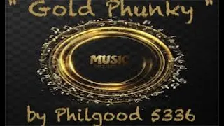 Funky Disco House " Gold Phunky " Original Mix by Philgood 5336