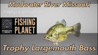 Fishing Planet Trophy Largemouth Bass Mudwater River Missouri