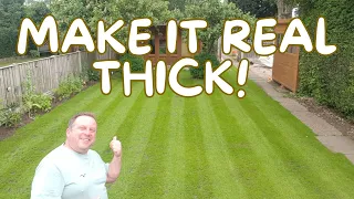 How To Thicken Up Your Lawn