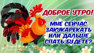 ☕️🍬 Бодренького утречка! Лучшие пожелания Доброго Утра и Чудесного Дня! Утренний позитив для друзей!