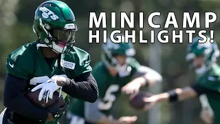 Minicamp Highlights!