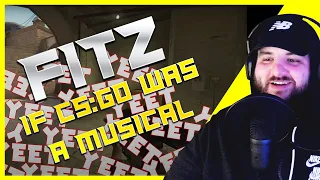 FIRST Time Watching - IF CS:GO Was A MUSICAL By Fitz *Reaction*