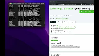 How to Install YData-Profiling with Conda on Python 3.11
