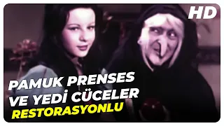 Pamuk Prenses ve Yedi Cüceler - Türk Filmi Tek Parça (HD)