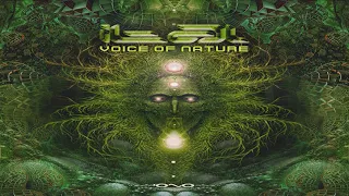 Ital - Voice of Nature [Full Album] ᴴᴰ