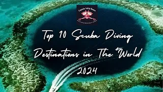 Top Ten Places To Dive in The World 2024