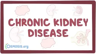 Chronic kidney disease - causes, symptoms, diagnosis, treatment, pathology